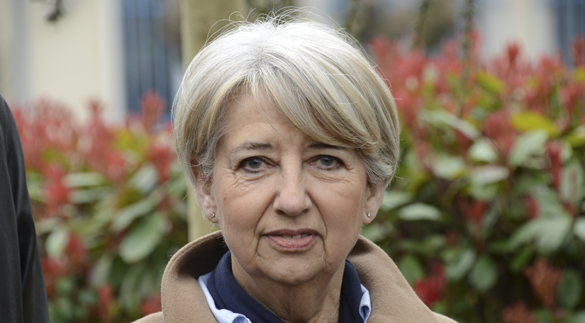 Infirmière et responsable du SSIAD d'Argenton, Conseillère générale du Canton d'Argenton, elle succède à Jean Roy en sa qualité de suppléante.