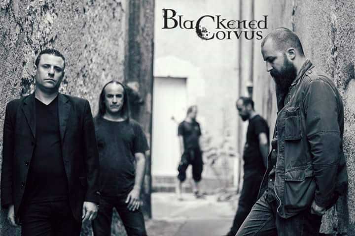 Blackemed Corvus