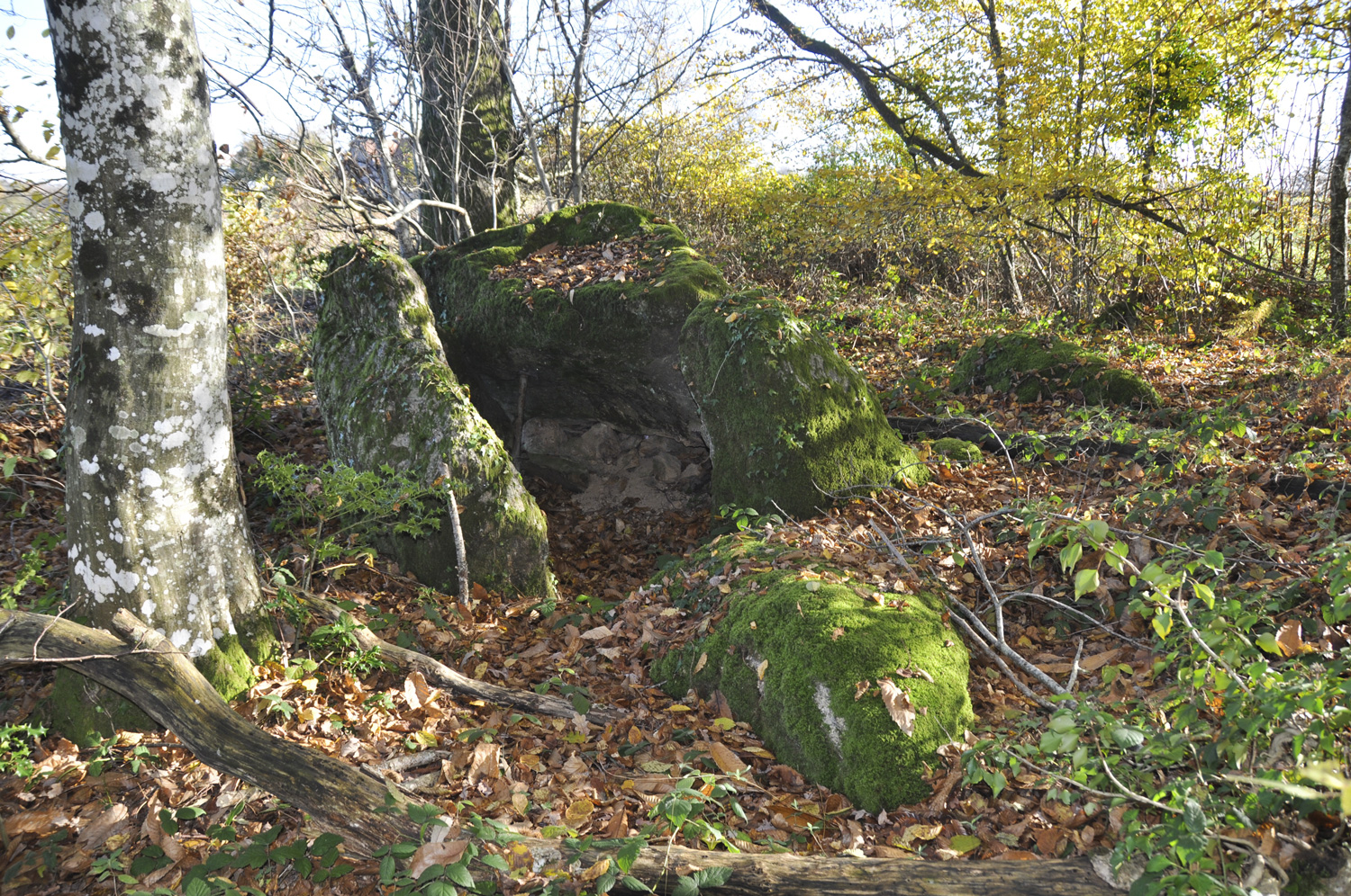 Aigurande : dolmen du Grand Pontet ©CD36 V. Fontaine