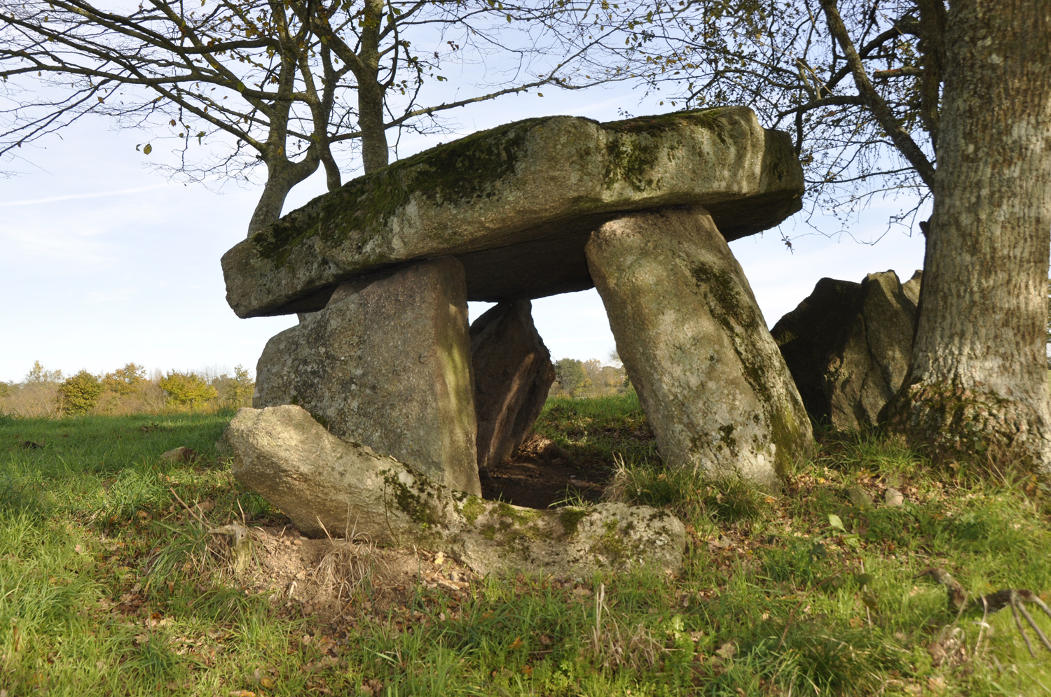 Montchevrier : dolmen de la Pierre à la Marte ©JF Lacou