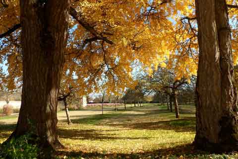 Le parc