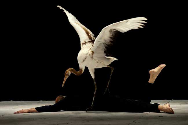 © Virginie Pontisso