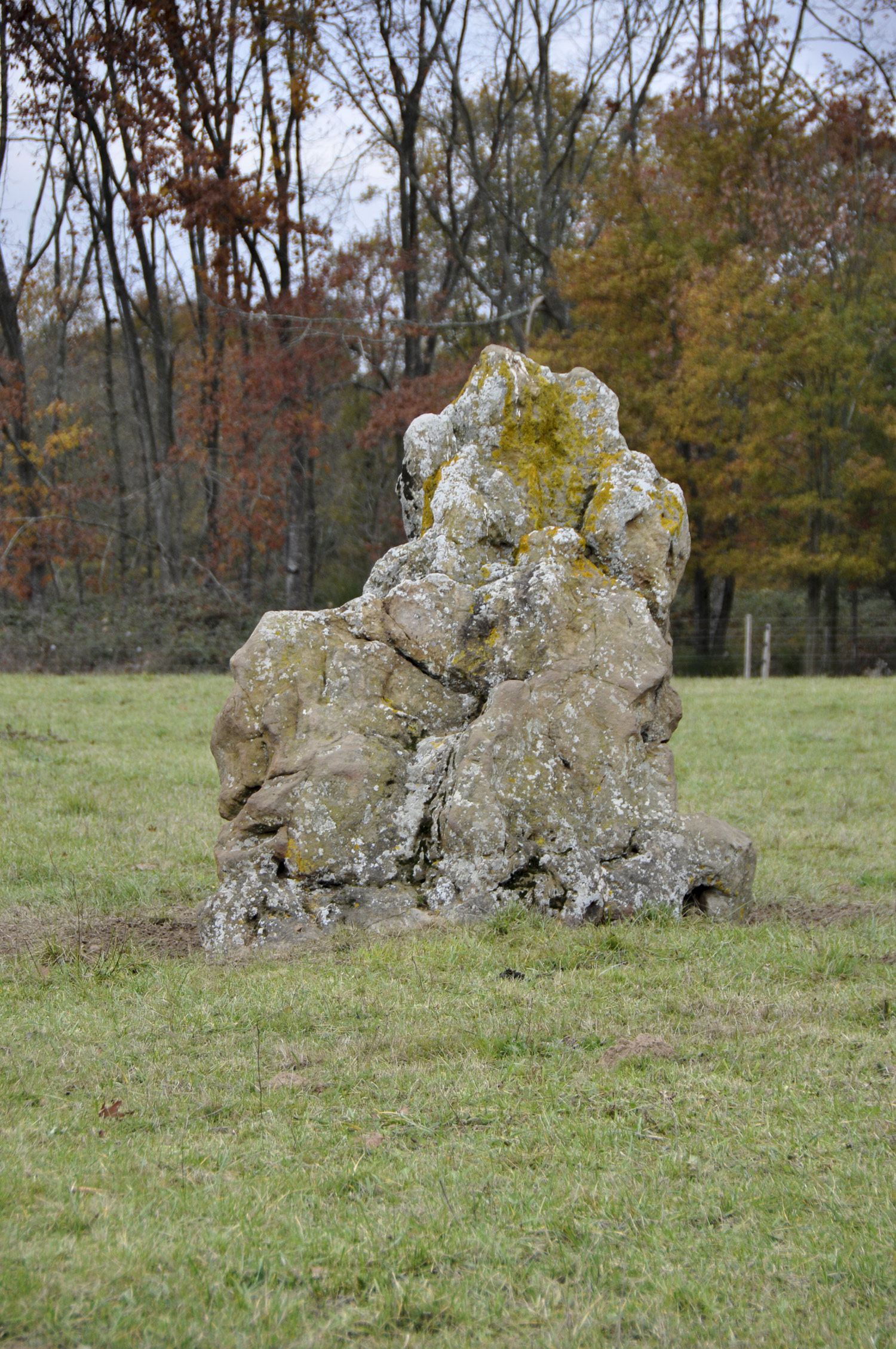 Bagneux : menhir de Boisy ©CD36 JF Lacou