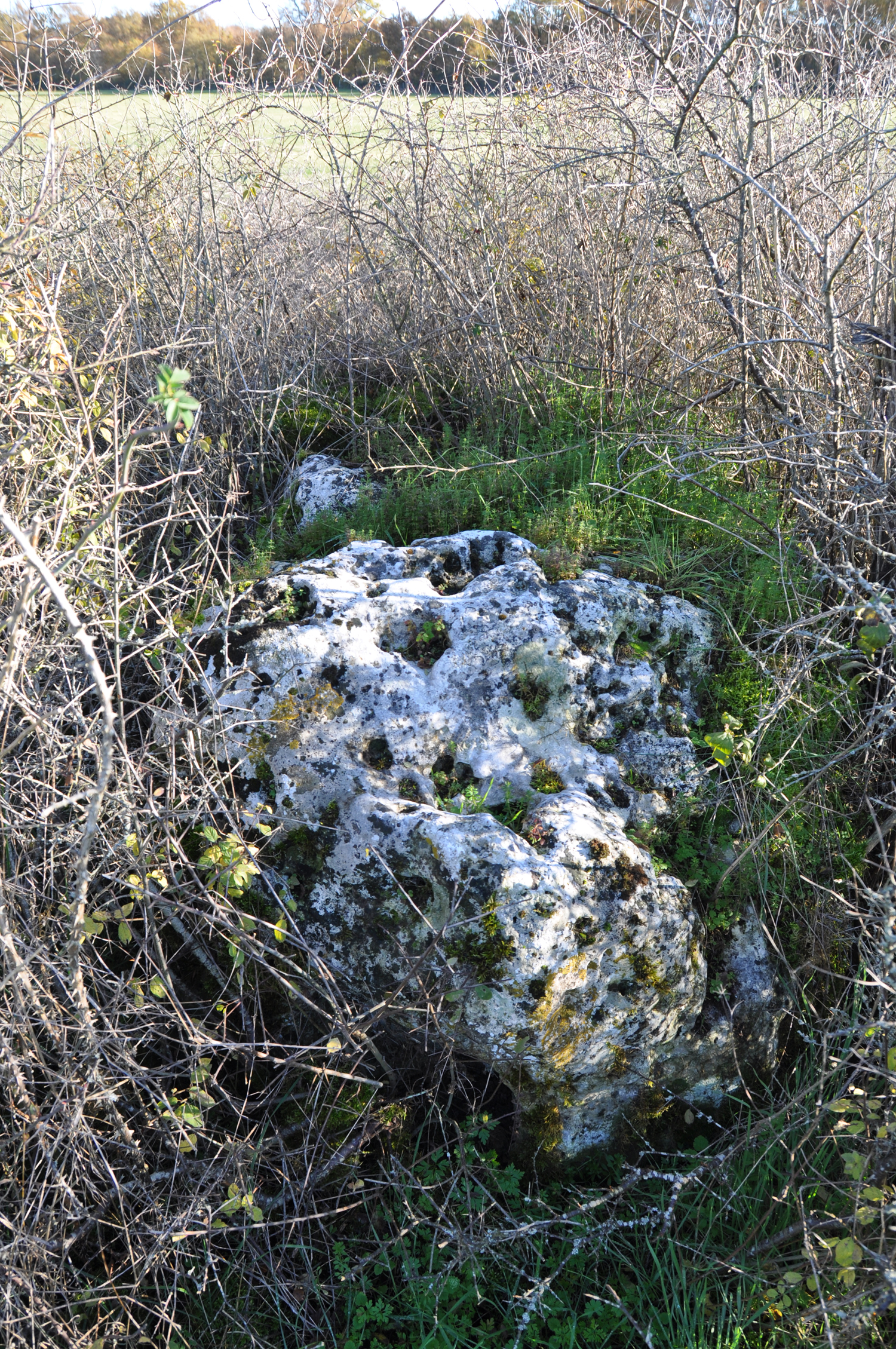 Douadic : menhir de la Pierre à Nom ©CD36 JF Lacou