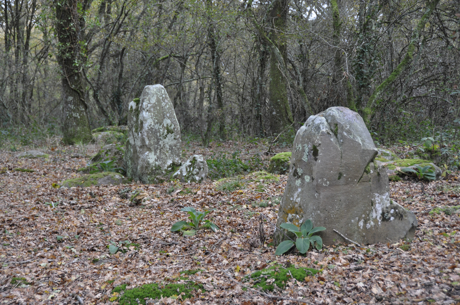 Bagneux : menhirs de Tréfoux ©CD36 JF Lacou