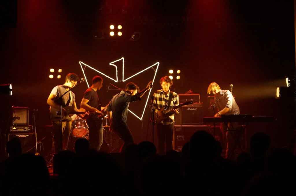 SWANS ON THE GROOVE