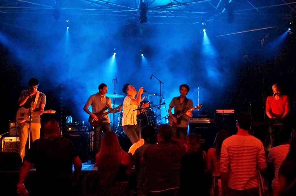 Swans On The Groove