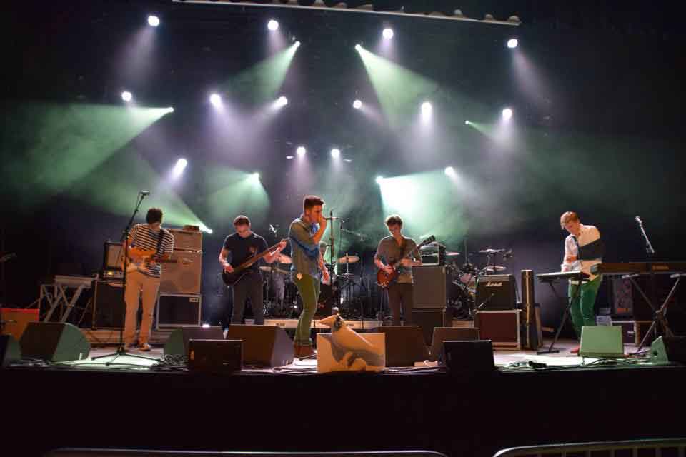 Swans On The Groove