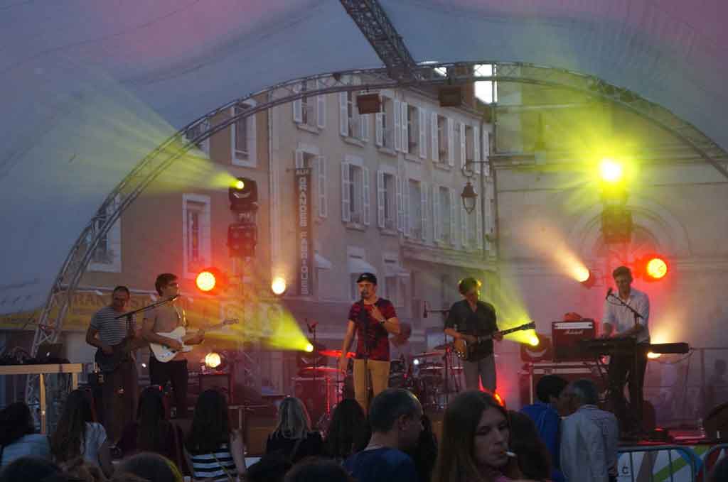 Swans On The Groove