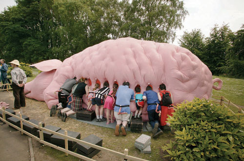 Pig