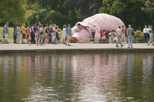 Pig