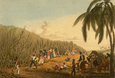 Esclaves en Martinique, collection particulière