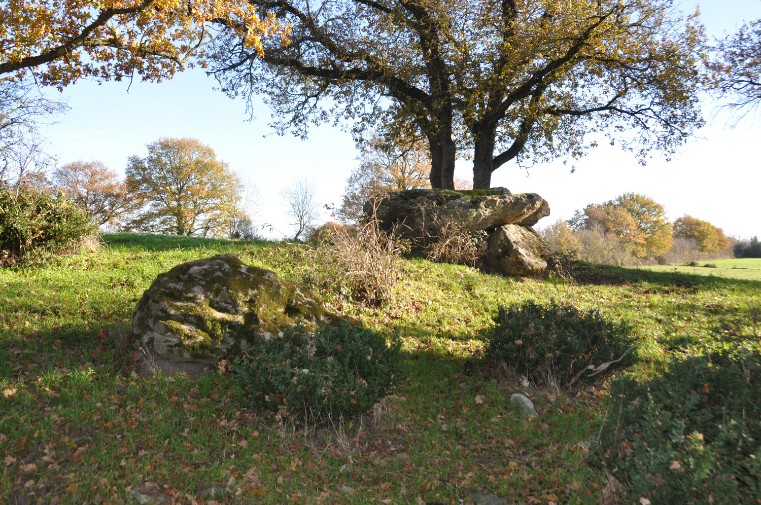 Ciron : dolmen de Sennevault ©CD36 JF Lacou
