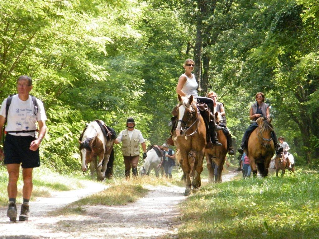 La Randonnée de la Brenne (photo d'archives)